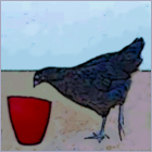 Pullet and Red Cup.