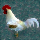 Red Shouldered Rooster Painting.