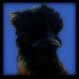 Bearded Hen.