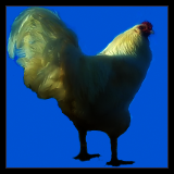 Rooster With Green Legs.