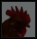 Grover.