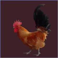 Buff Rooster With Black Tail.